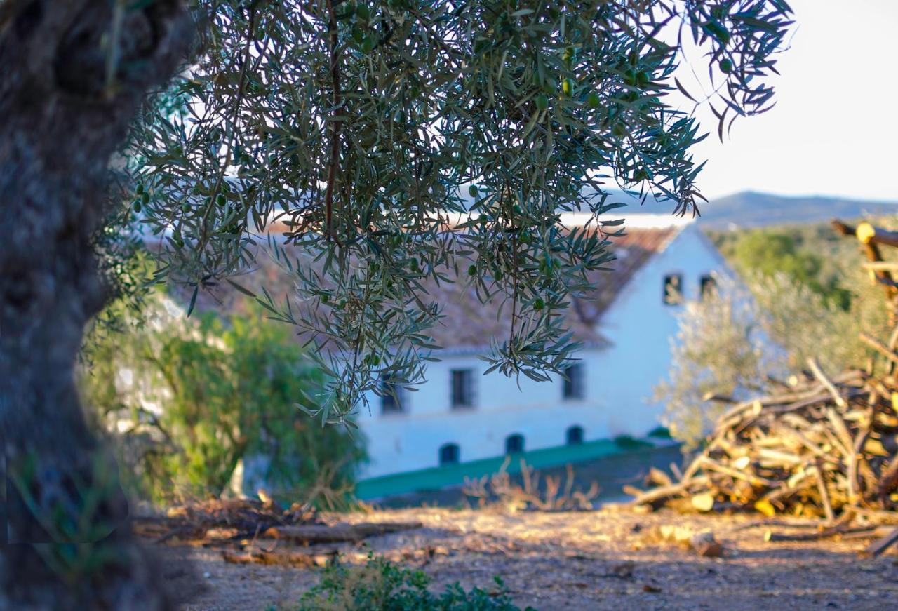 Cortijo Alzamigaja Villa Archidona Bagian luar foto