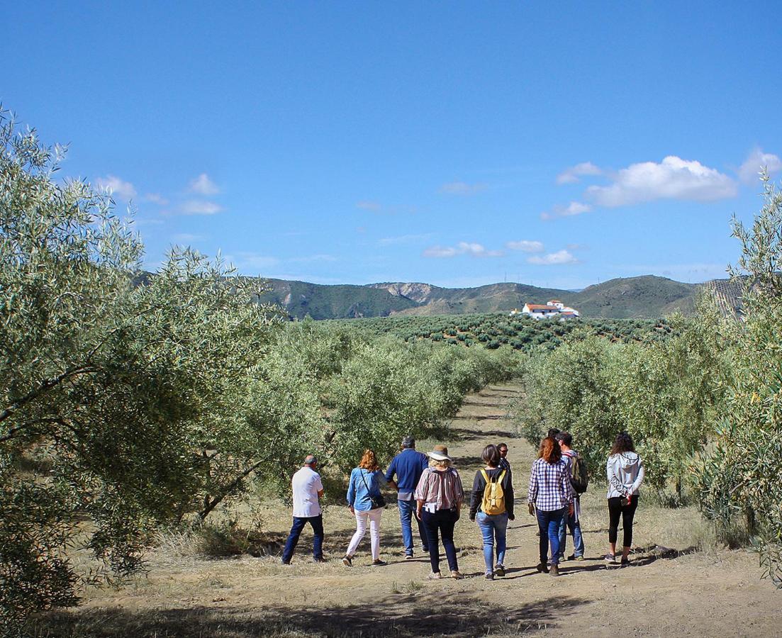 Cortijo Alzamigaja Villa Archidona Bagian luar foto