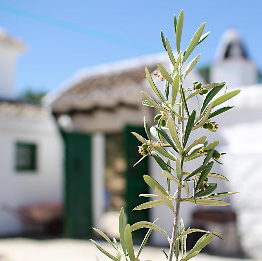 Cortijo Alzamigaja Villa Archidona Bagian luar foto