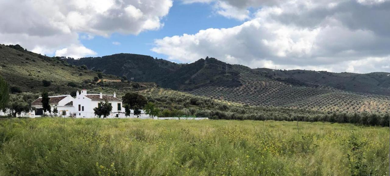 Cortijo Alzamigaja Villa Archidona Bagian luar foto